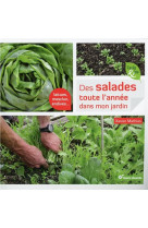 Des salades toute l'annee dans mon jardin